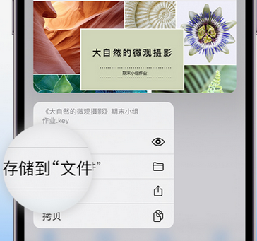 蓬江apple维修中心分享iPhone文件应用中存储和找到下载文件