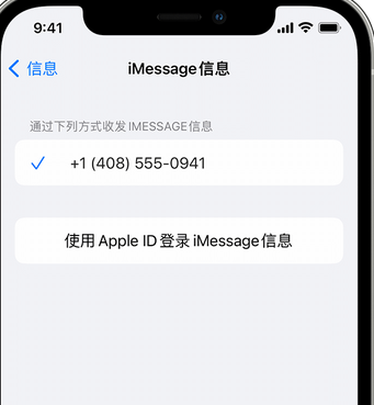 蓬江apple维修iPhone上无法正常发送iMessage信息 