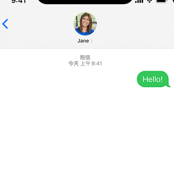 蓬江apple维修iPhone上无法正常发送iMessage信息