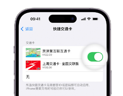 蓬江apple维修点分享iPhone上更换Apple Pay快捷交通卡手绘卡面 