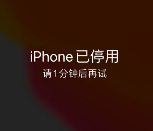 蓬江苹果手机维修分享:iPhone 显示“不可用”或“已停用”怎么办？还能保留数据吗？ 