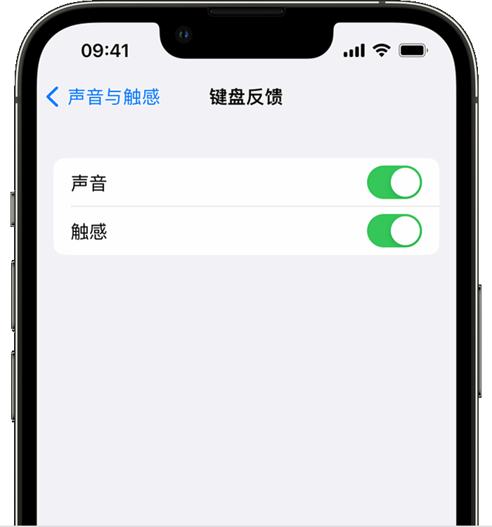 蓬江苹果14维修店分享如何在 iPhone 14 机型中使用触感键盘 