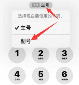 蓬江苹果14维修店分享iPhone 14 Pro Max使用副卡打电话的方法 