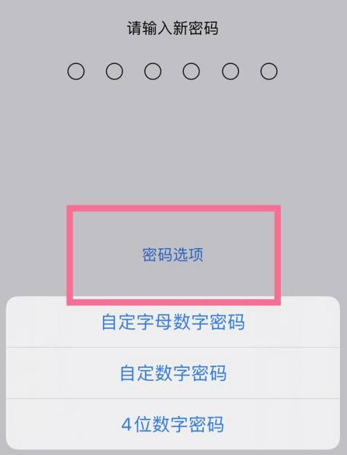 蓬江苹果14维修分享iPhone 14plus设置密码的方法 