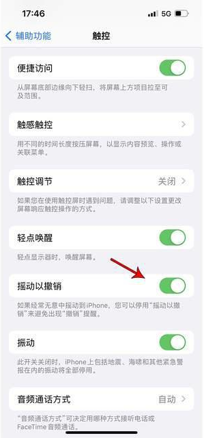 蓬江苹果手机维修分享iPhone手机如何设置摇一摇删除文字 